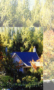 Cottage In Hills