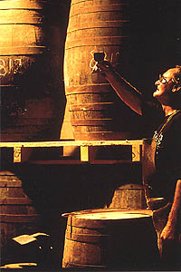 WineMaker