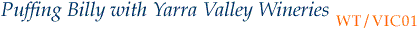 WT/VIC01